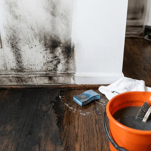 Smoke Damage Cleanup